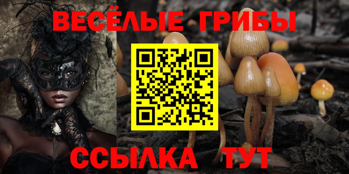 наркота  Вход с VPN  Ногинск  Псилоцибиновые грибы Cubensis 