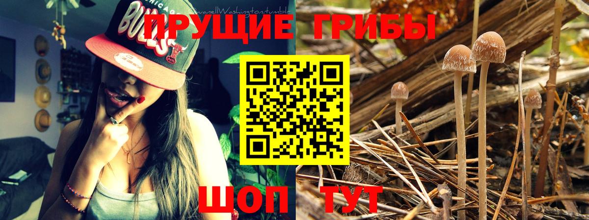 Псилоцибиновые грибы MAGIC MUSHROOMS Ногинск